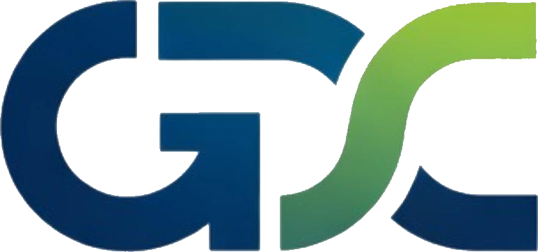 Globe Data Cloud Solutions